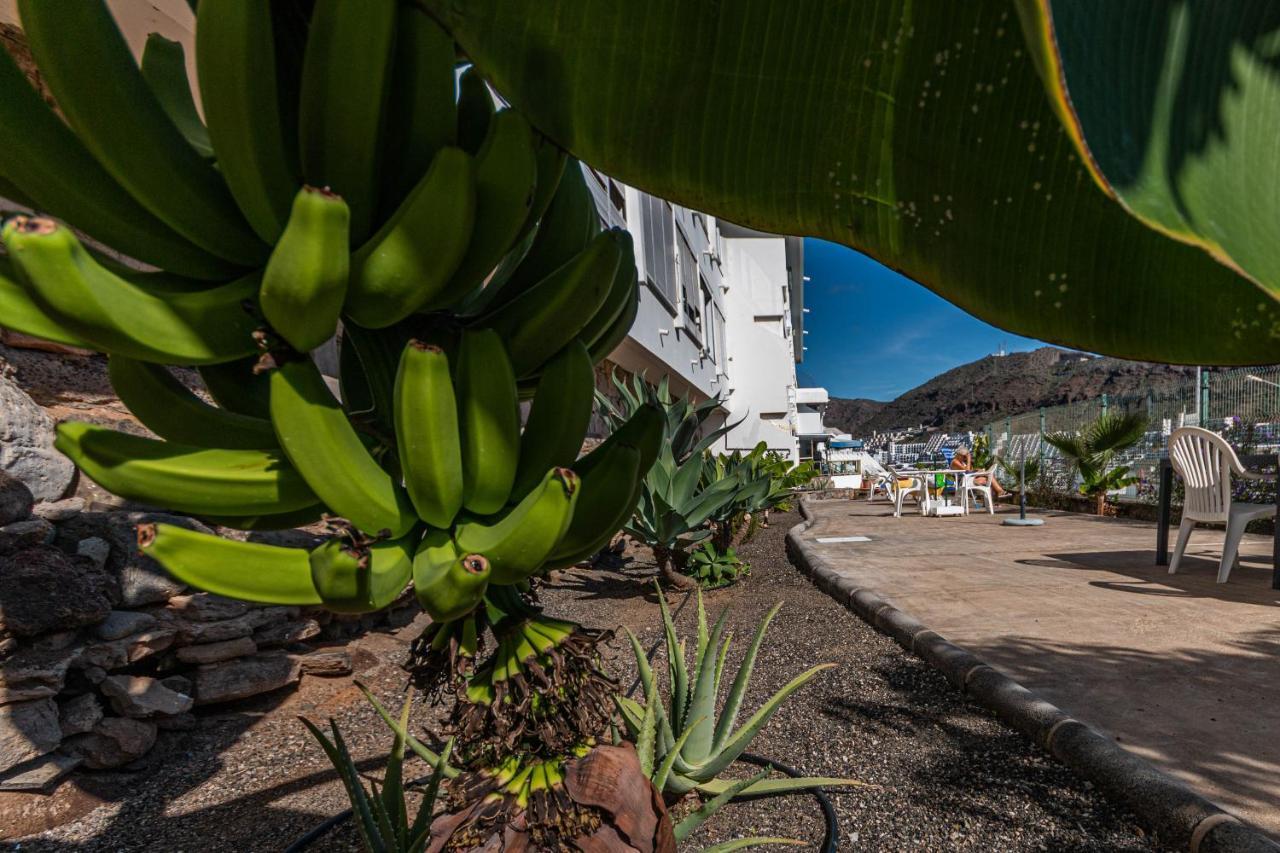 Apartmán Puerto Rico Corner Exteriér fotografie